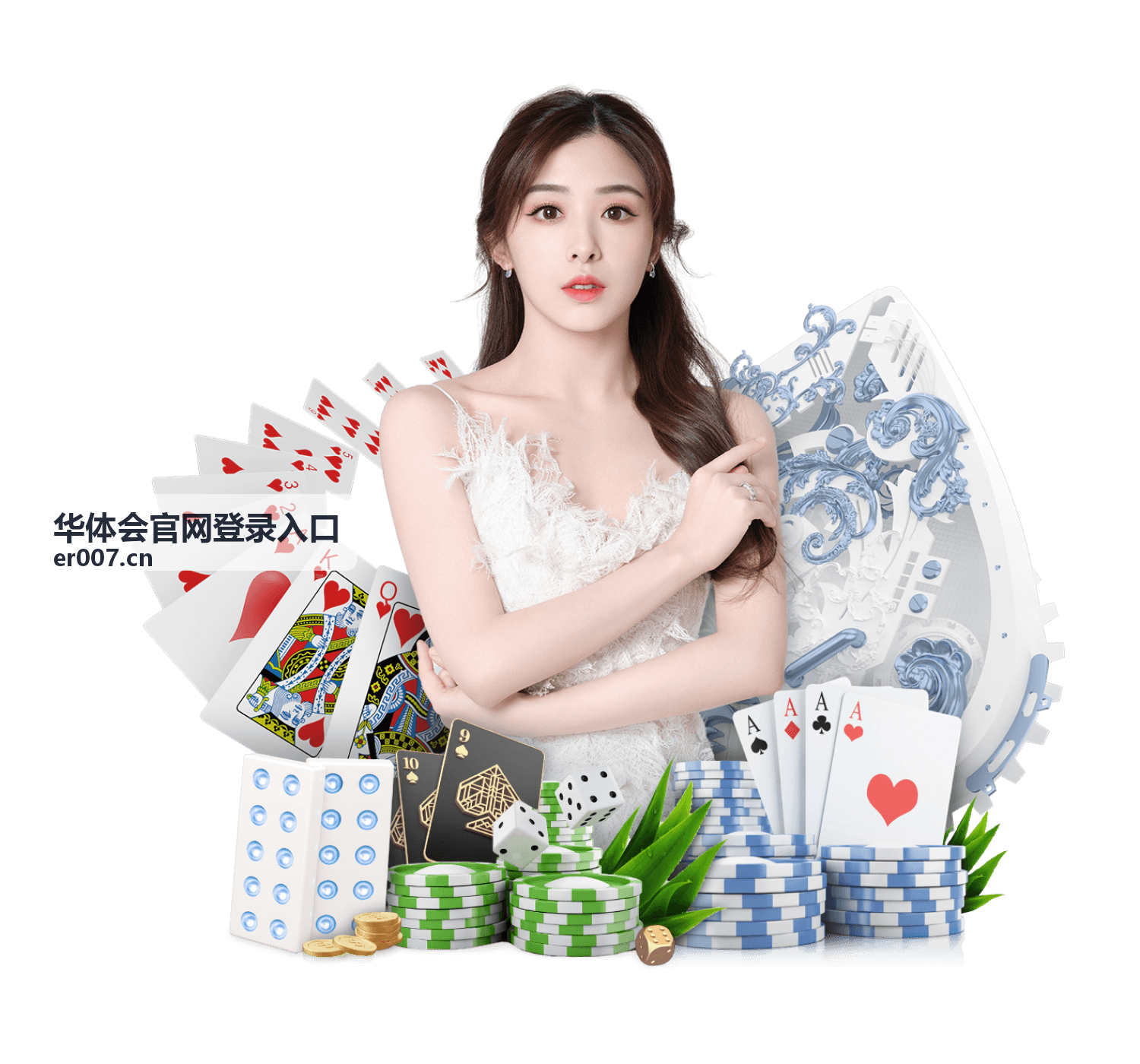 华体会官网登录入口登录前准备事项示意图
